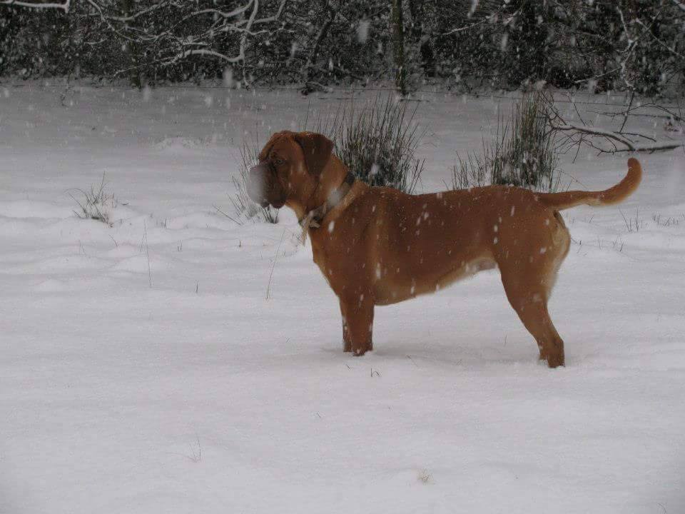 15841508_10154924899202612_636900062_n